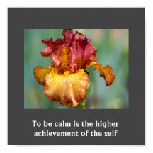 Idécitattecken Poster