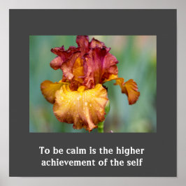 Idécitattecken Poster