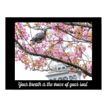 Idécitattecken Poster