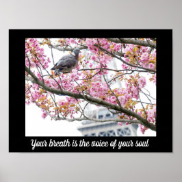 Idécitattecken Poster