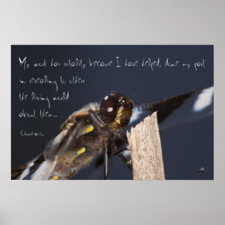 Idédragonfly Poster