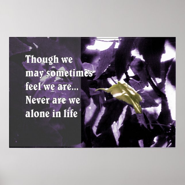 Idéer genom naturen poster (Framsidan)