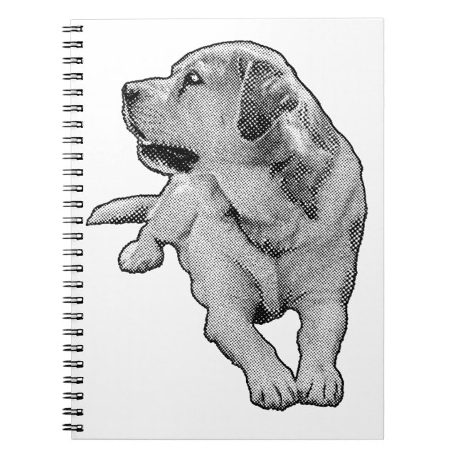 Idéer i små tonåringar anteckningsbok (Framsidan)