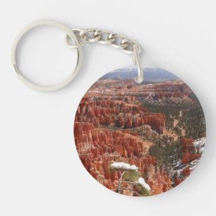 Idéer vid Bryce Canyon I