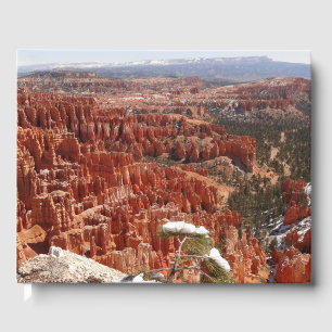 Idéer vid Bryce Canyon I Gästböcker