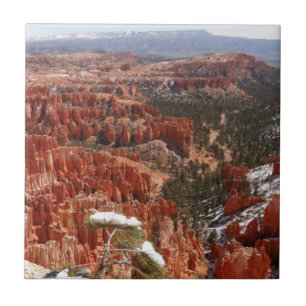 Idéer vid Bryce Canyon I Kakelplatta