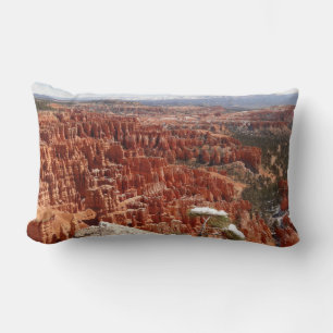 Idéer vid Bryce Canyon I Lumbarkudde