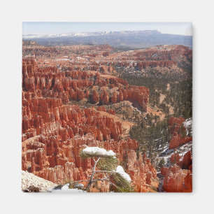 Idéer vid Bryce Canyon I Magnet