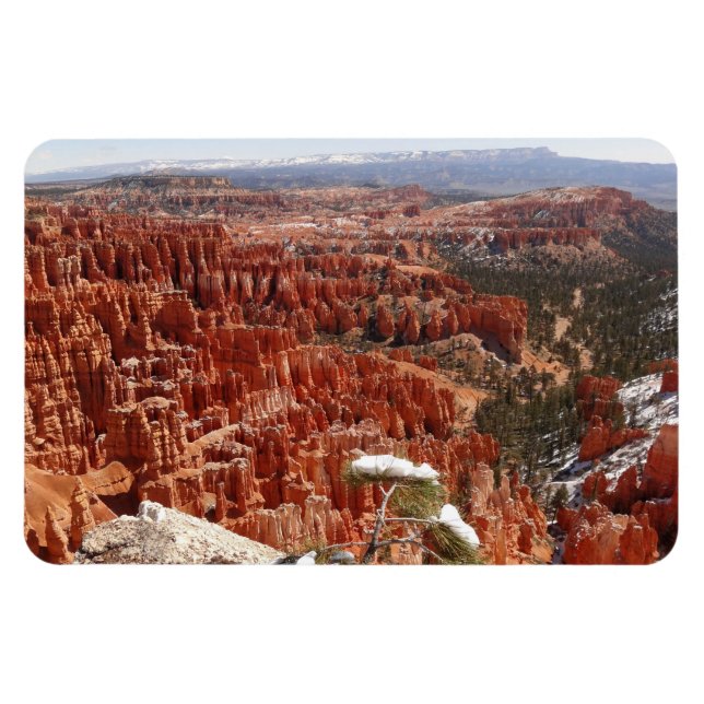 Idéer vid Bryce Canyon I Magnet (Horisontell)