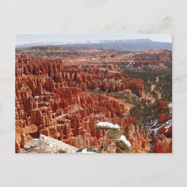 Idéer vid Bryce Canyon I Vykort (Framsida)