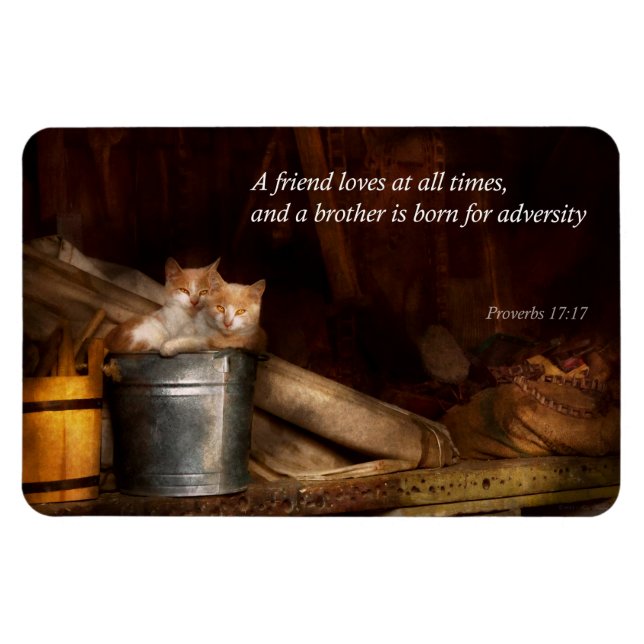 Idéisk - Katt - roligt Magnet (Horisontell)