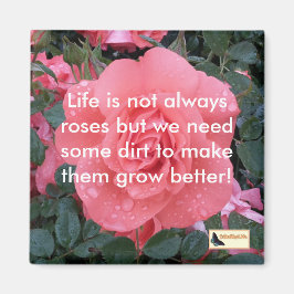 Idémagneter - Behållans flytta Magnet