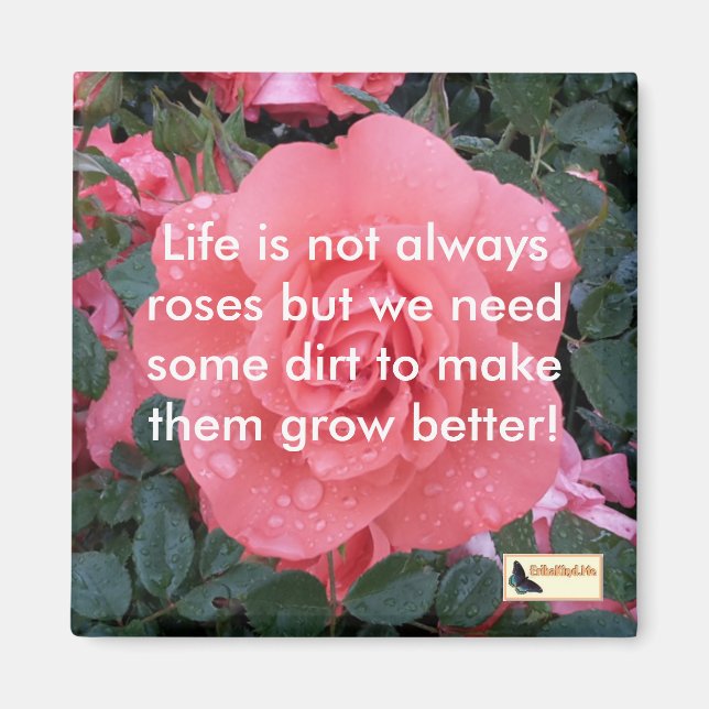 Idémagneter - Behållans flytta Magnet (Framsidan)