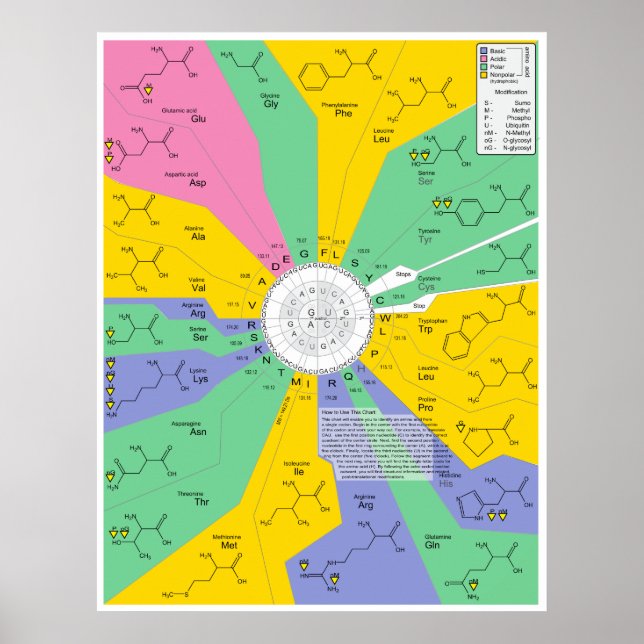 Identifieringsschema för kemisk molekylidentifieri poster (Framsidan)