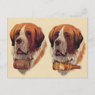 identisk tvilling St Bernard hundar Vykort