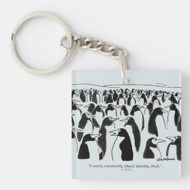 Identitetsstöld (Framsidan)