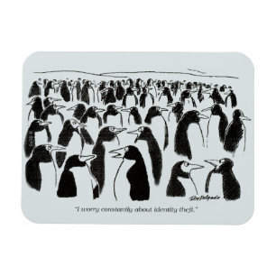 Identitetsstöld Magnet
