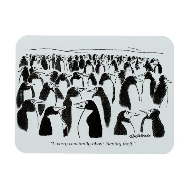 Identitetsstöld Magnet (Horisontell)