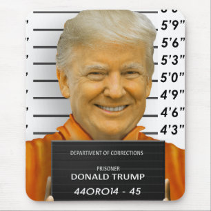 Idiot 45 för trumffängelseMugshot Musmatta