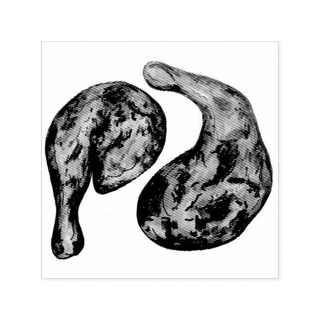 Idiot Chicken Karibien Väster indisk Jamaican Food Självfärgande Stämpel (Design)