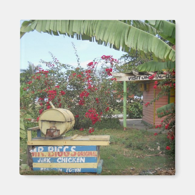 Idiot Chickstativ i Negril, Jamaica 2011 Magnet (Framsidan)