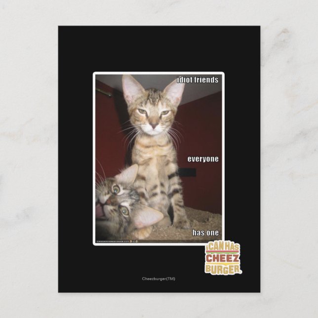 Idiot Friends Vykort (Framsida)