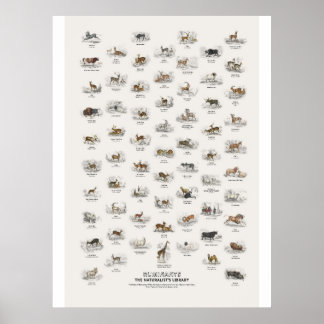Idisslare - Naturalist's Library Poster