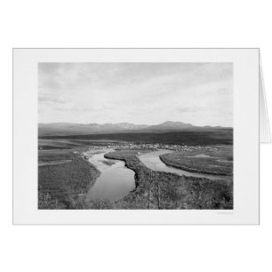 Iditarod Alaska Birdseye 1914 Hälsningskort