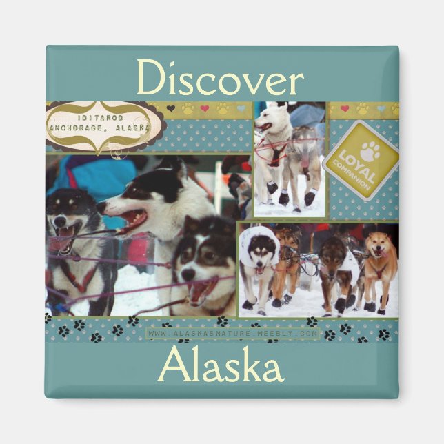 Iditarod Loyal Assions Magnet (Framsidan)