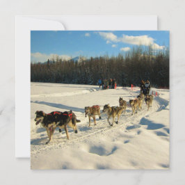 Iditarod Trail Sled Hund Tävling Inbjudningar