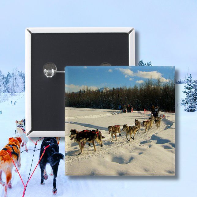 Iditarod Trail Sled Hund Tävling Knapp (Iditarod Trail Sled Dog Race Button)