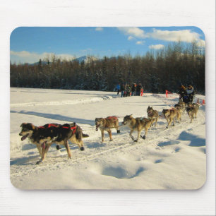 Iditarod Trail Sled Hund Tävling Musmatta