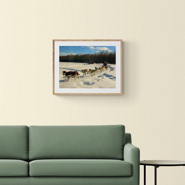 Iditarod Trail Sled Hund Tävling Poster (Skapare uppladdad)