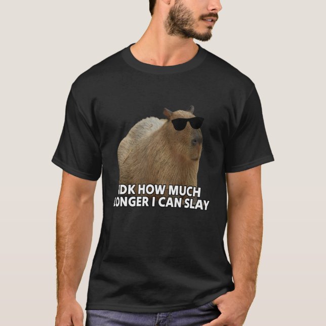 Idk How Much Longer I Can Slay Capybara Sarcastic  T Shirt (Framsida)