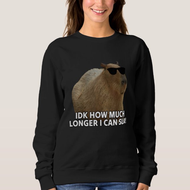 Idk How Much Longer I Can Slay Capybara Sarcastic  T Shirt (Framsida)