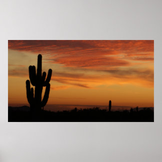 IDKP Arizona cactus in sunset Poster
