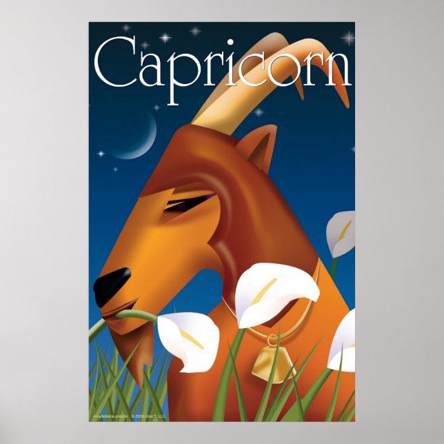 Idolz Capricorn Poster (Framsidan)