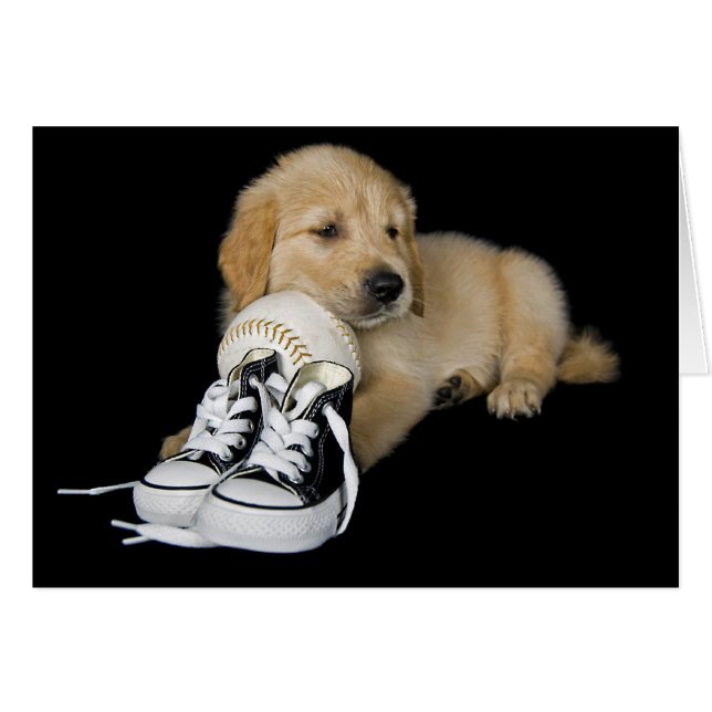 Idrottens Fläkt OBS Kort (Framsidan Horizontal)