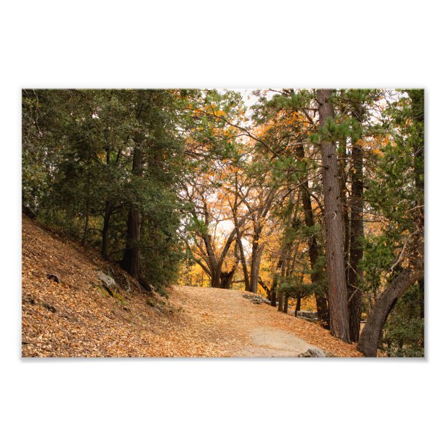 Idyllild - Gräs Cove Fototryck (Framsidan)