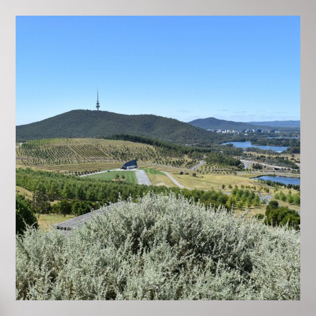 Idylliska dagen i Canberra Poster (Framsidan)