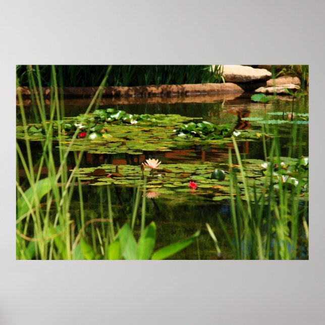 Idylliska eftermiddag poster (Framsidan)