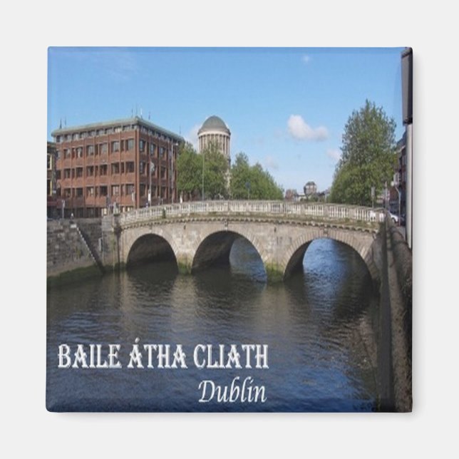 IE010 DUBLIN, Baile Átha Cliath, Irland Magnet (Framsidan)