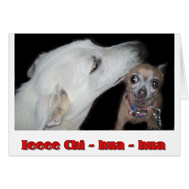 Ieee Chi hua hua Hälsningskort (Framsidan Horizontal)