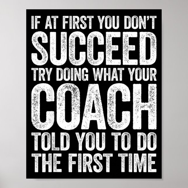 If At First You Dont Succeed Try Doing What Your C Poster (Framsidan)