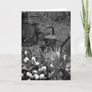 IFELICES PASCUAS GLAD PÅSK I SPANSKA HELGKORT