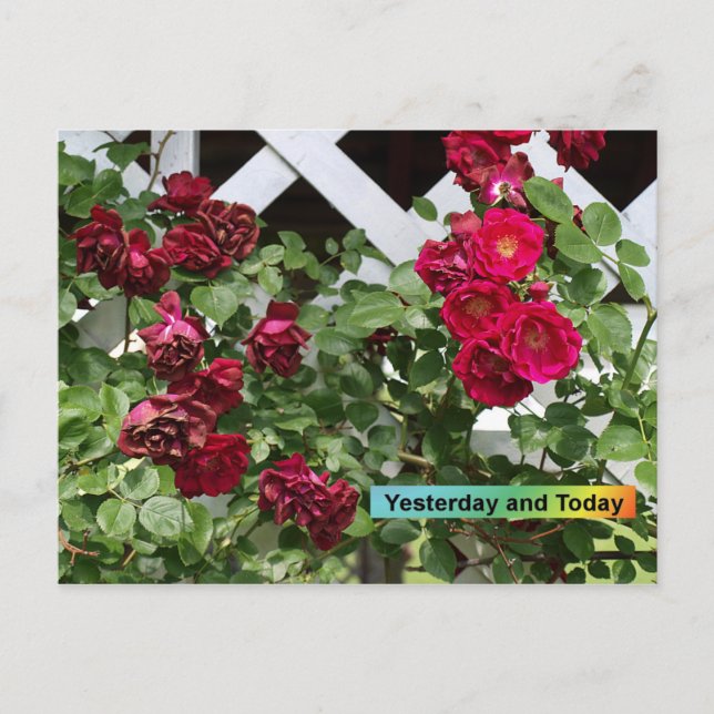 Igår och i dag vykort (Framsida)