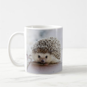 Igelkott Kaffemugg