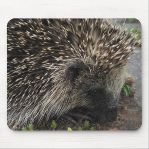 Igelkott Mousepad Musmatta