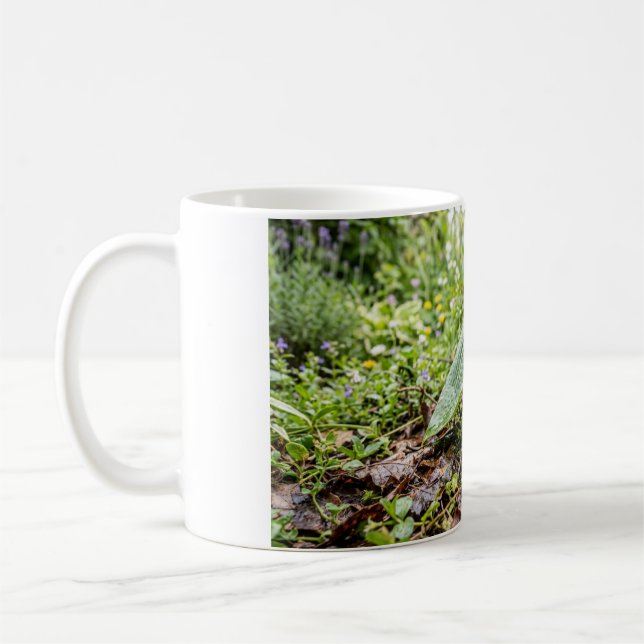Igelkott som tittar under ett blad Kaffe kopp (Vänster)