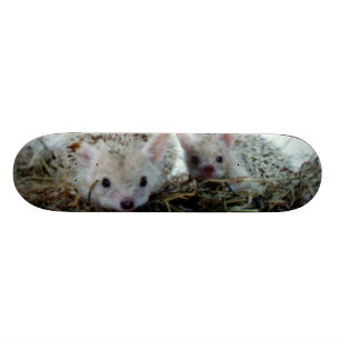 Igelkottar som husdjur skateboard bräda 21,5 cm